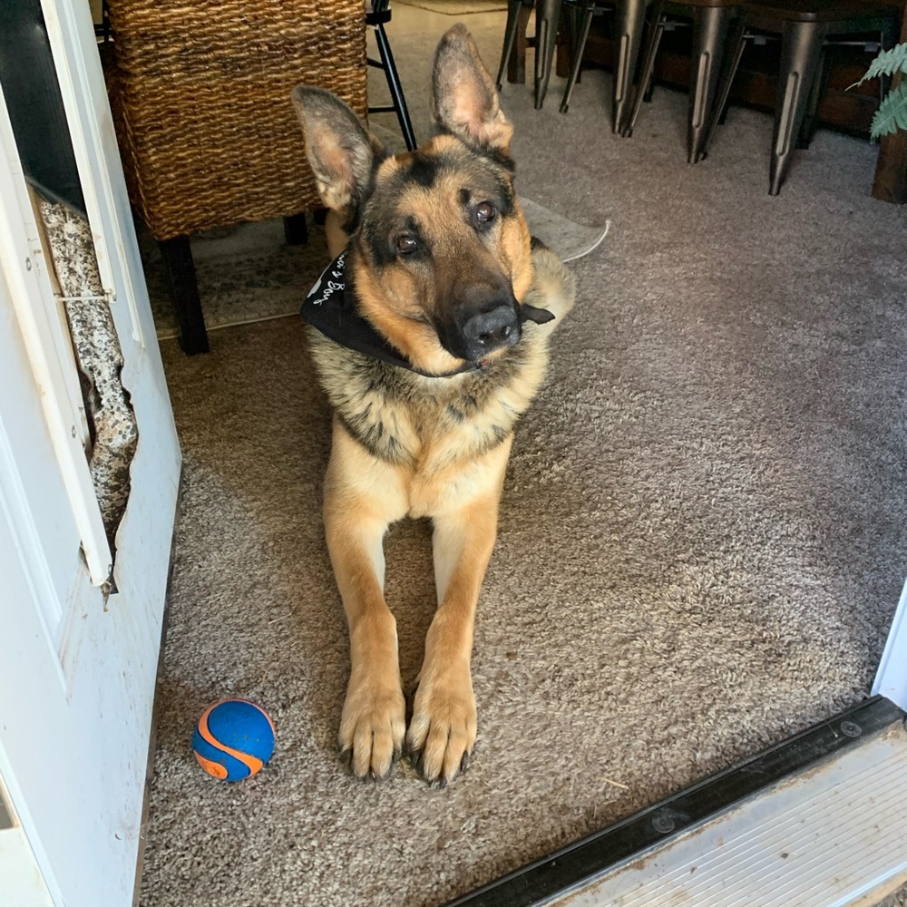 Meet your Posher, Renea